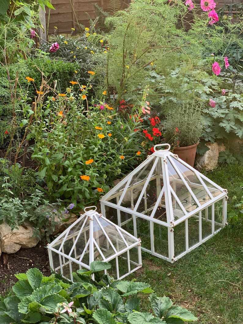 Large Victorian Style Garden Cloche | Etsy | Etsy (US)