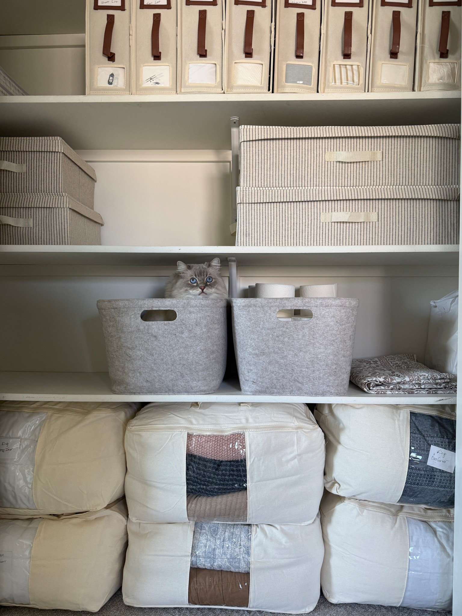 My nervous system instantly relaxes when I look at this linen closet I organized last weekend. 

I want to take it to the next level with printing off the cutest labels. I slapped my chicken scratches on for now. 

#LTKFamily #LTKHome #LTKFindsUnder100