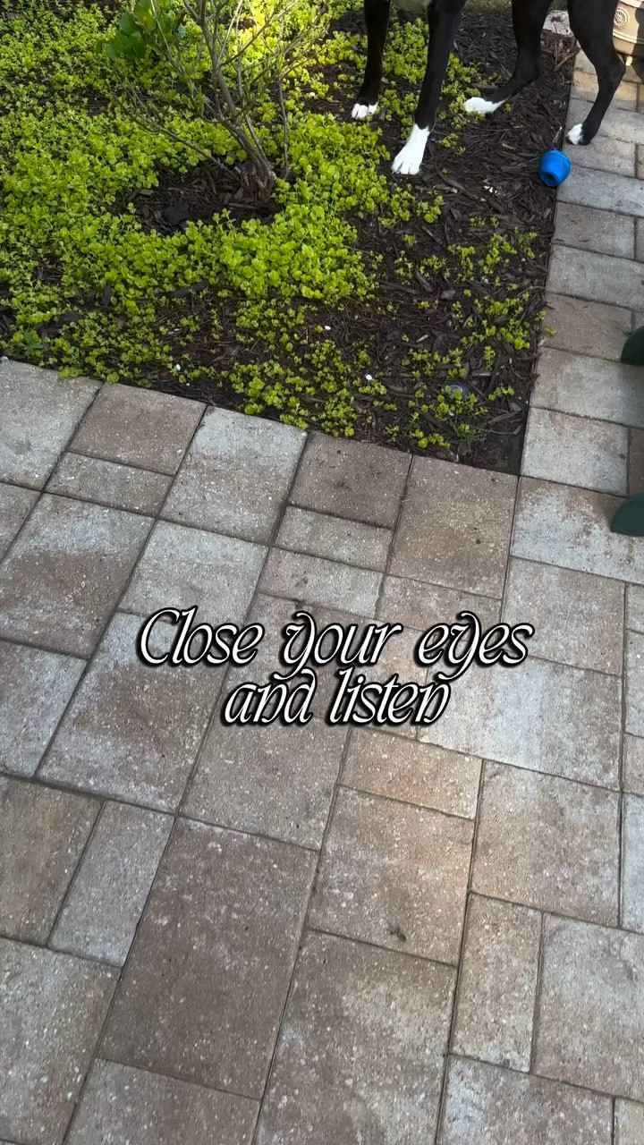 
Not my normal content—but every morning I start my stories with a “Morning Friends” post that usually involves flowers.  They’re either ones from my yard or fresh flowers in my house. (Always buy yourself flowers)  Today I mentioned how I love to walk around my yard and admire the growth from the day before!  It’s a little thing that makes me happy and brings me joy!  Don’t forget to do the little things for yourself 🫶🏻

🔎 Morning walks, spring has sprung, gardens in spring, flowers make me happy, spring flowers, buy yourself flowers, listen to the birds, touch grass, grounding yourself, things I do that keep me grounded, grounding,  sounds of nature, early morning nature sounds, algorithm cleanse, styled with bags