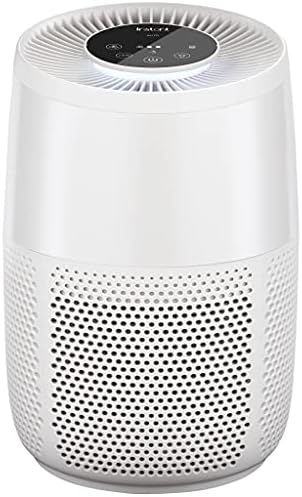 Instant Air Purifier, Helps to remove 99.9% of Viruses, Bacteria and Allergens, Advanced 3-in-1 H... | Amazon (US)