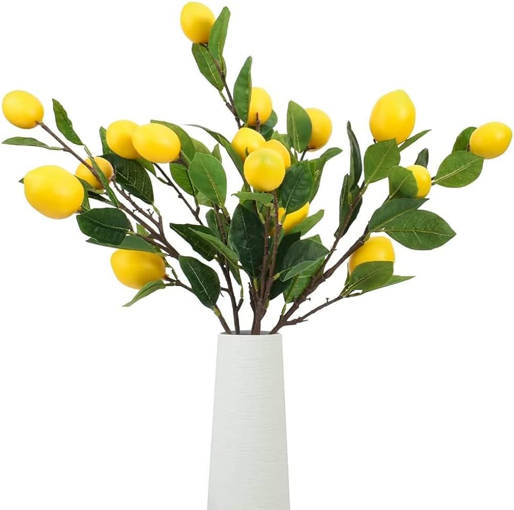 Artificial Fruit Branches Artificial Lemon Highly Simulation Lifelike Model for Vase Home Party D... | Amazon (US)
