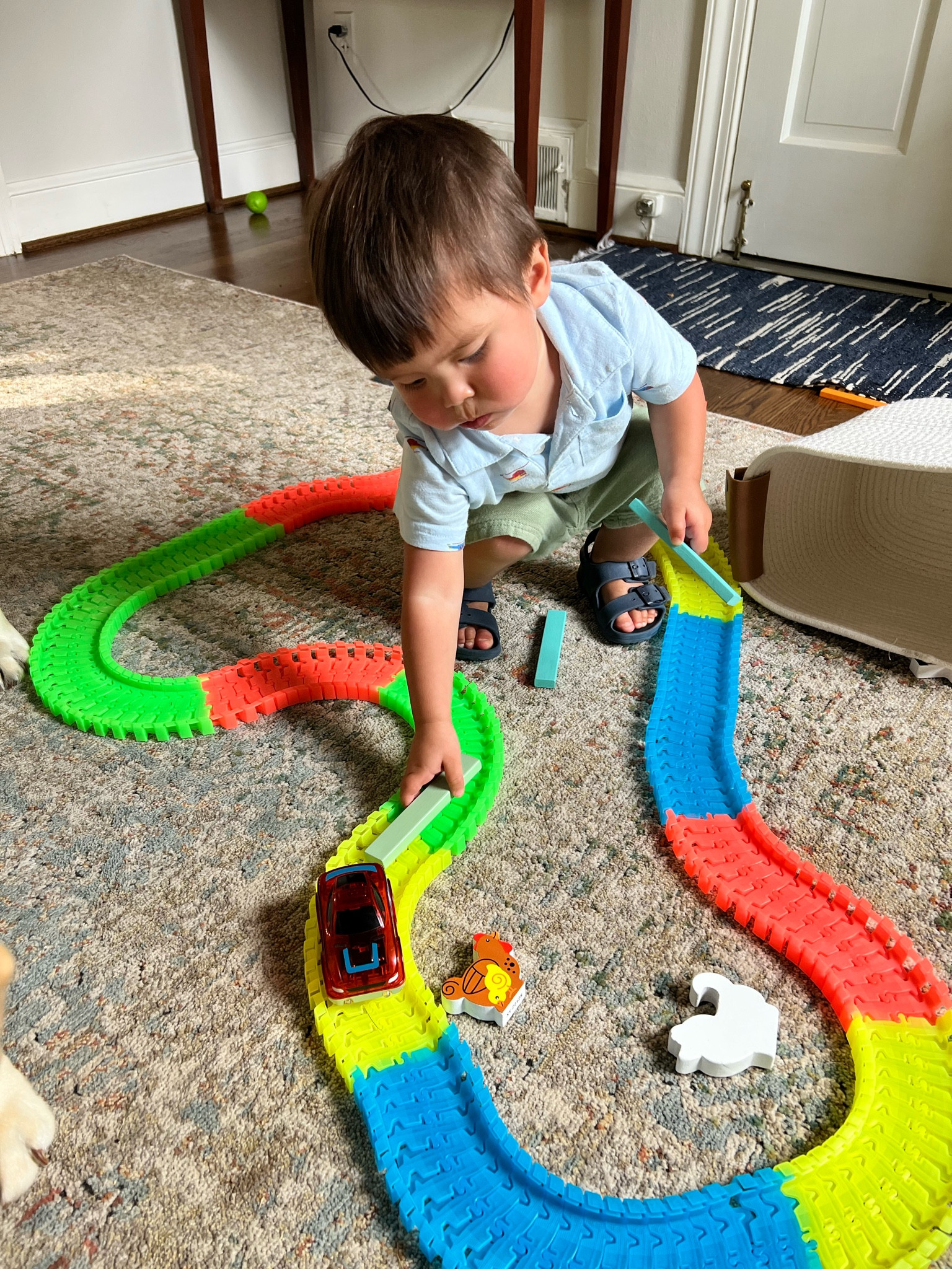 My 20 month old  has been so entertained by this toy! Easy to put together and also breaks down easily for storing. 

#LTKfamily #LTKbaby #LTKkids