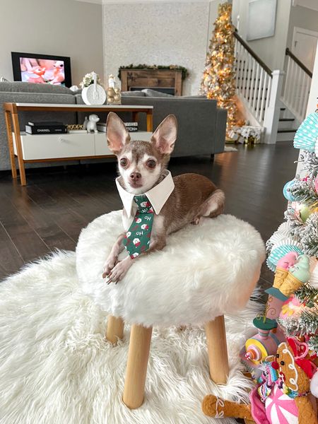 The cutest Christmas tie!

Christmas outfit, dog clothes, dress g accessories 

#LTKSeasonal #LTKfamily #LTKHoliday