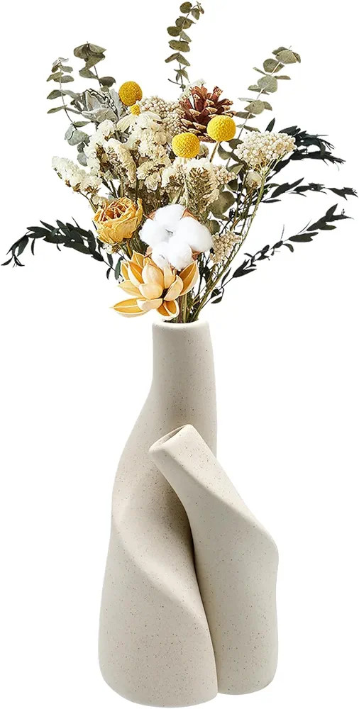 JNUYISW Vase en Céramique, Lot de 2 Style Minimaliste Beige Vase Décoratif pour Pampa et Fleurs... | Amazon (FR)