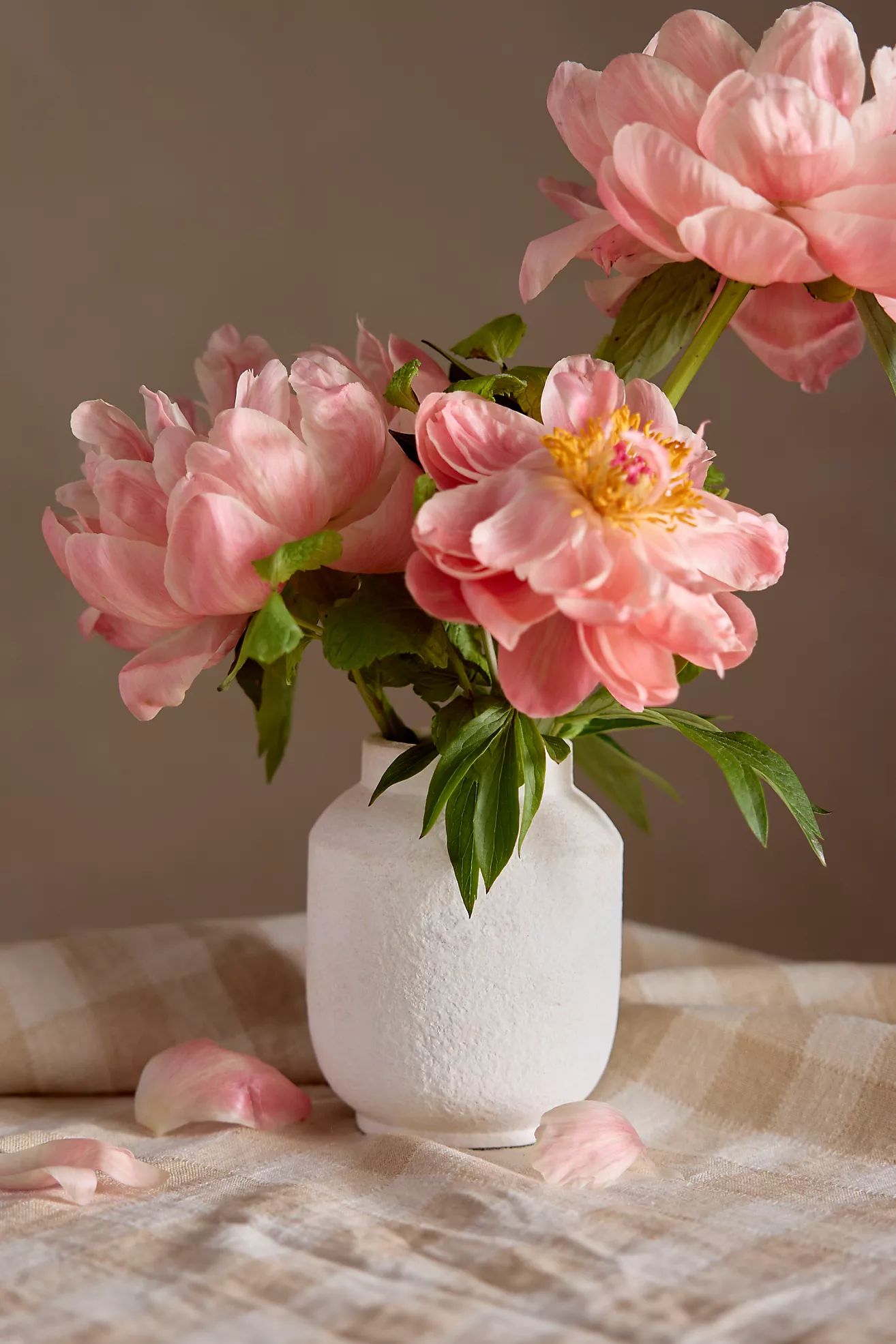 Matte Terracotta Vase, Wide Top Bud | Anthropologie (US)