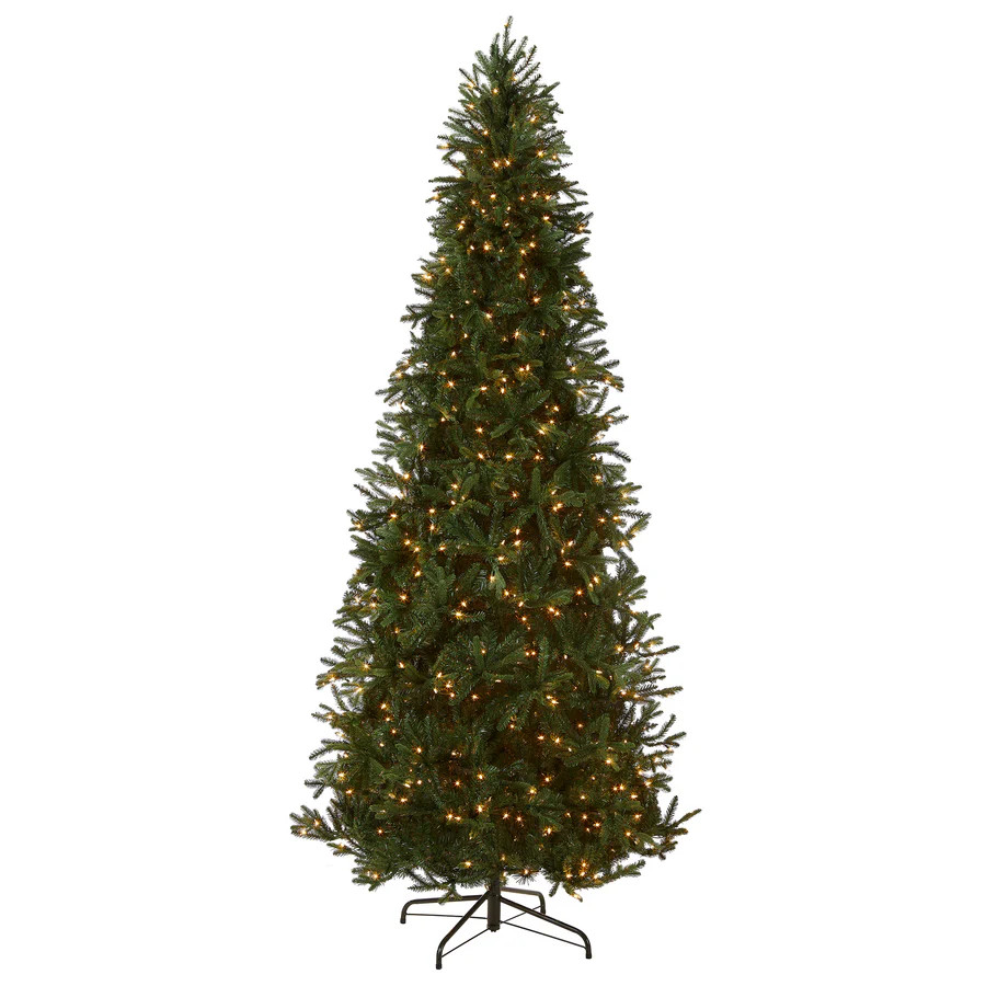 12 ft. Pre-Lit Tiffany Fir Slim Tree with Clear Lights, Plug-In | National Tree Company