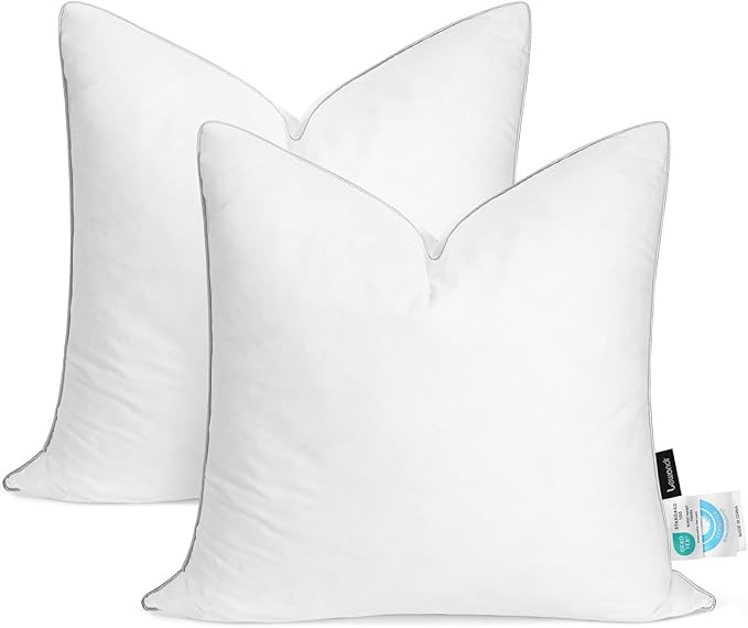 Lewondr 22x22 inch Pillow Insert Set of 2, Down and Feather Throw Pillow Inserts Premium Soft Flu... | Amazon (US)