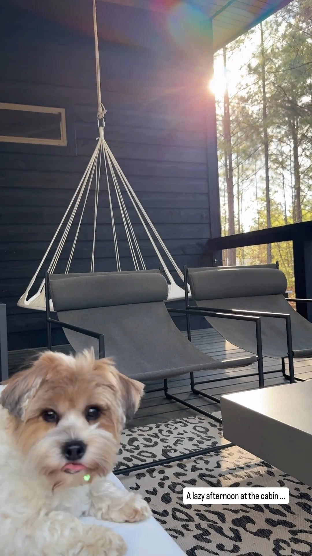 Our last lazy day at the cabin and the weather was perfect! Linking the outdoor sofa that’s so comfortable my husband and I both fall asleep on it. 🖤 porch patio furniture backyard spring refresh modern transitional black white nest swing sling chair modway amazon creator favorites wayfair summer home 

#LTKHome #LTKSaleAlert #LTKOver40