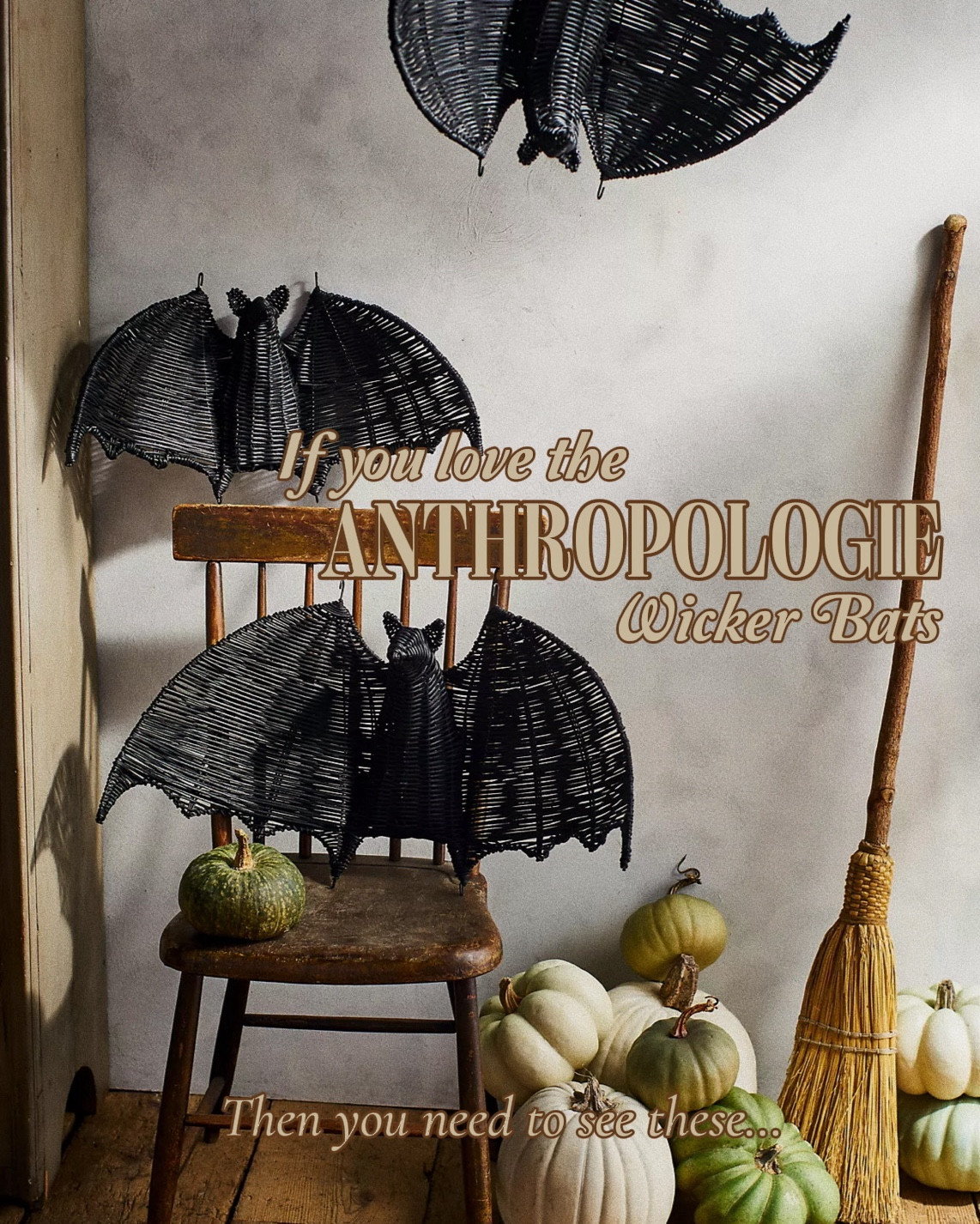 Get the same look as the Anthropologie wicker bats but for only $12

Anthro lookalike | Halloween decor | wicker bats | fall decor | halloween home 

#LTKFindsUnder50 #LTKSaleAlert #LTKSeasonal