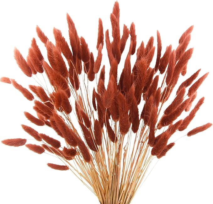 120pcs Bunny Tails Dried Flowers Plant Burnt Orange 17" Natural Pampas Grass for Home Decor Boho ... | Amazon (US)