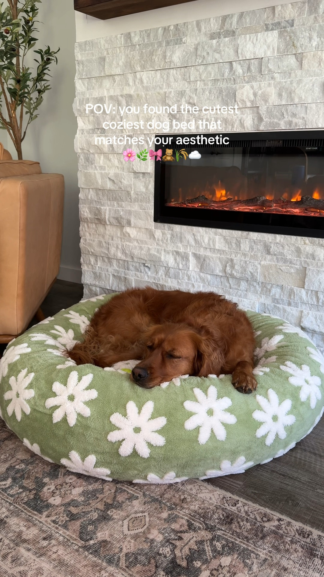 So cute and soft! 🐾
Size large for our 60-80 lb pups!


#LTKSummerSales #LTKVideo #LTKHome