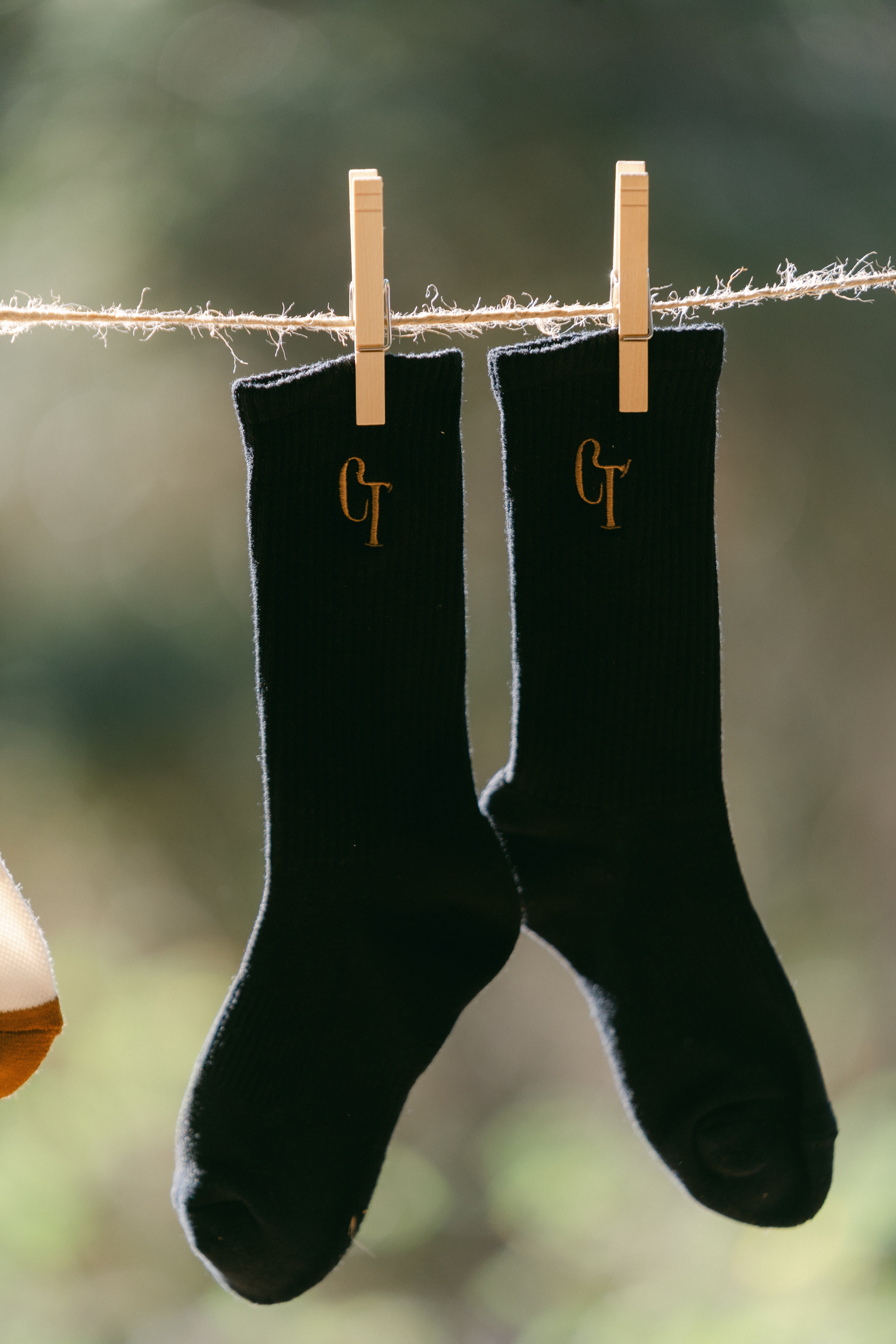 Tobacco Field | Cowboy Tears