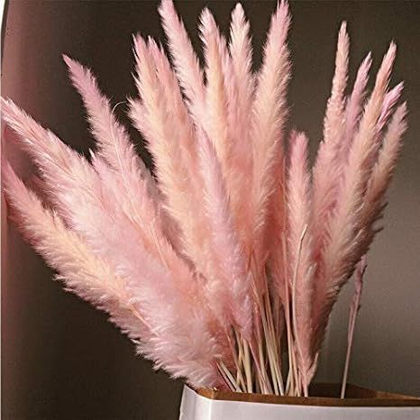 15Pcs Natural Dried Small Pampas Grass, Phragmites Communis, Dried Reed Plumes Communis Wedding F... | Amazon (US)