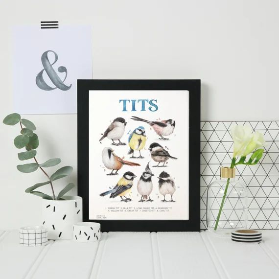 Tits Art Print  Funny British Birds Watercolour Wall Art - Etsy | Etsy (US)