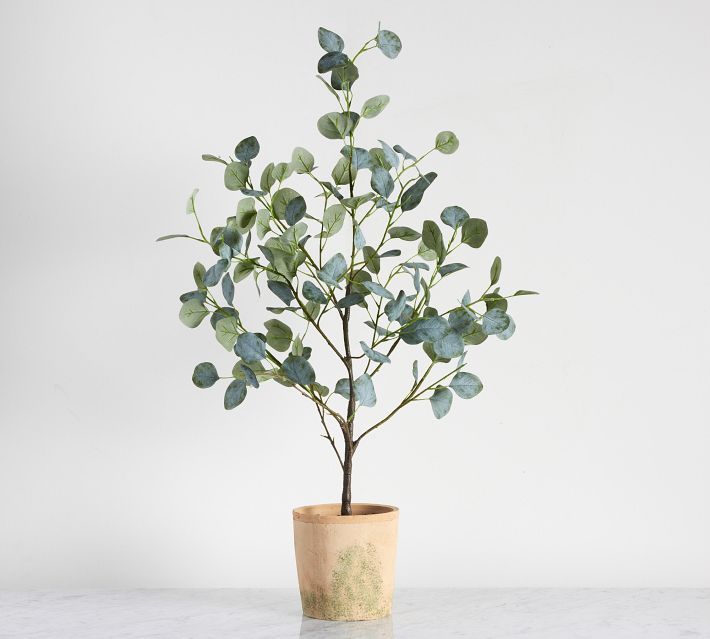 Faux Silver Dollar Eucalyptus Mini Tree | Pottery Barn (US)