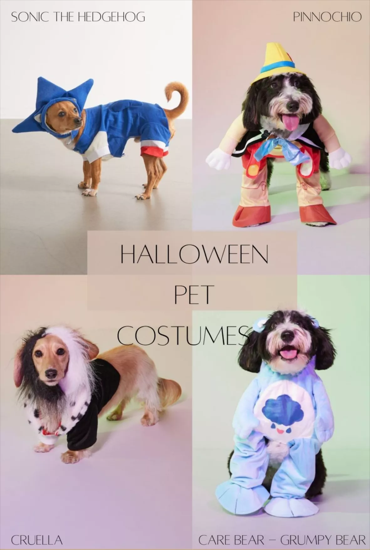 Snow White Pet Costume for Dog or … curated on LTK