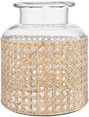 Amazon.com: Bloomingville 8" H Glass Decorative Cane Sleeve Vase, Clear : Home & Kitchen | Amazon (US)