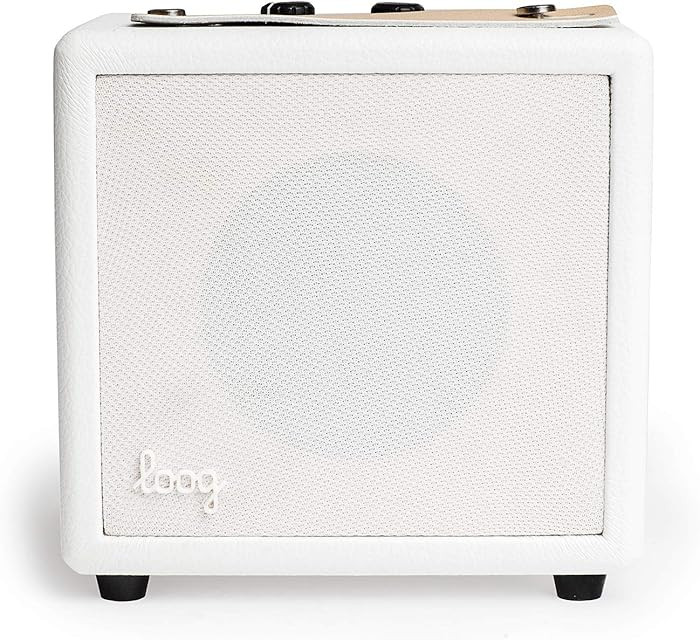 Loog Mini Amp and Cable | Amazon (US)