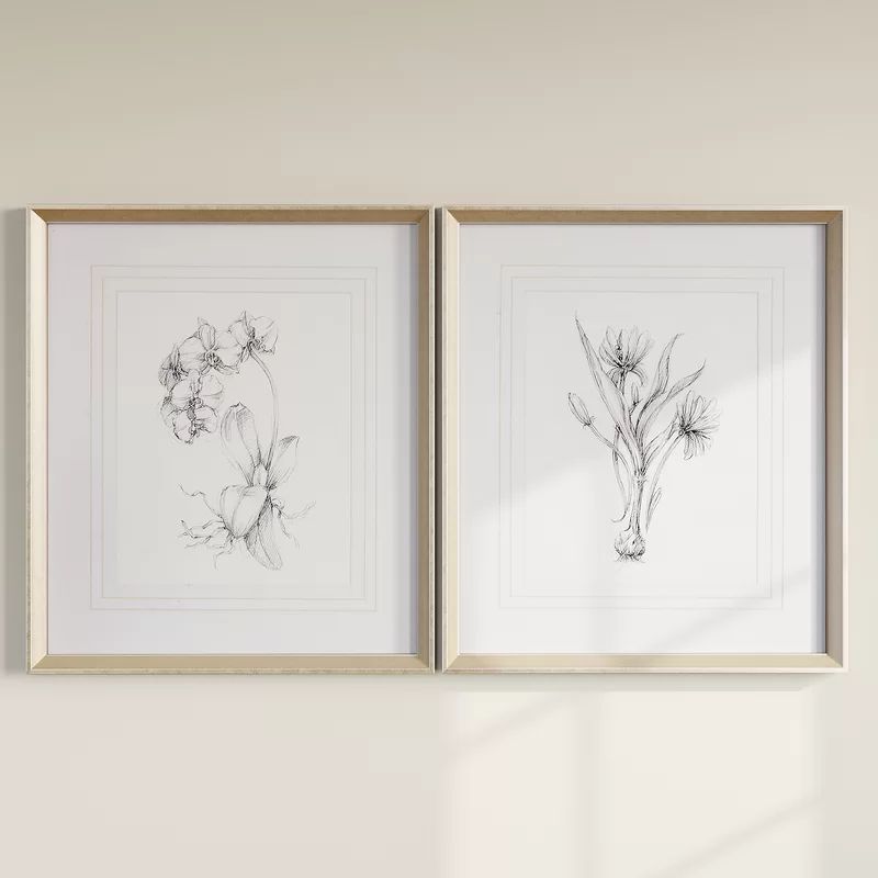 Botanical Sketches by Ethan Harper - 2 Piece Picture Frame Print Set | Wayfair North America