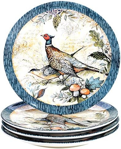 Certified International Harvest Gatherings 11" Dinner Plates, Set of 4, Multicolor | Amazon (US)