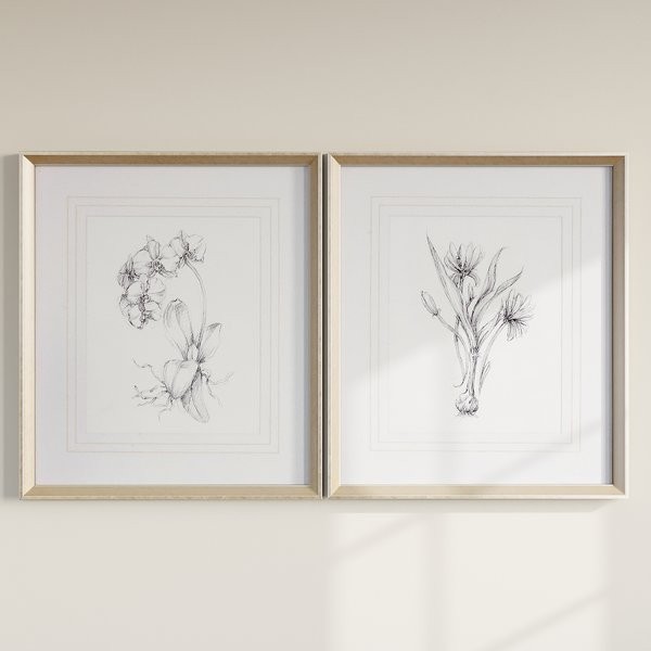 'Botanical Sketches' 2 Piece Framed Painting Print Set | Wayfair North America