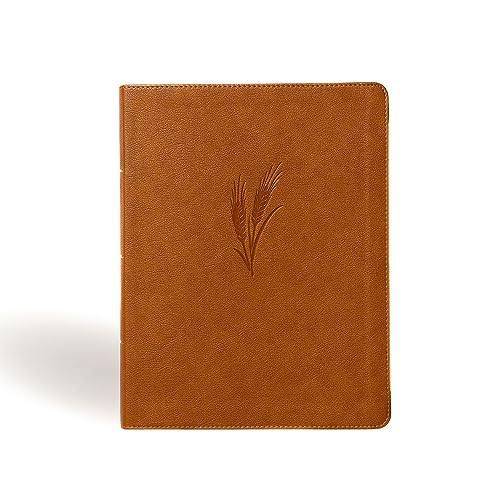 CSB Notetaking Bible, Large Print Edition, Camel LeatherTouch, Black Letter, Wide Margins, Journaling Space, Single-Column, Reading Plan, Easy-to-Read Bible Serif Type | Amazon (US)