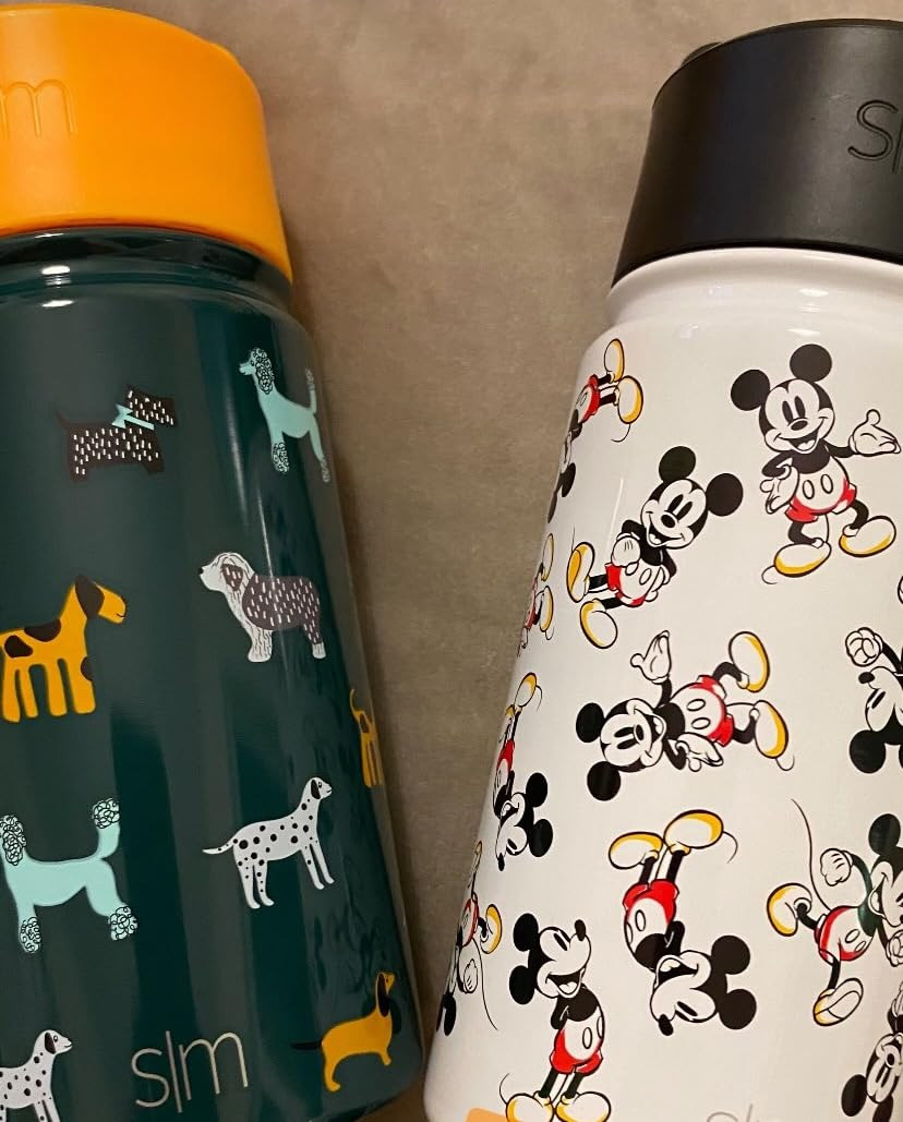 Simple Modern Kids Water Bottle with Straw Lid | Insulated Stainless Steel Reusable Tumbler for T... | Amazon (US)