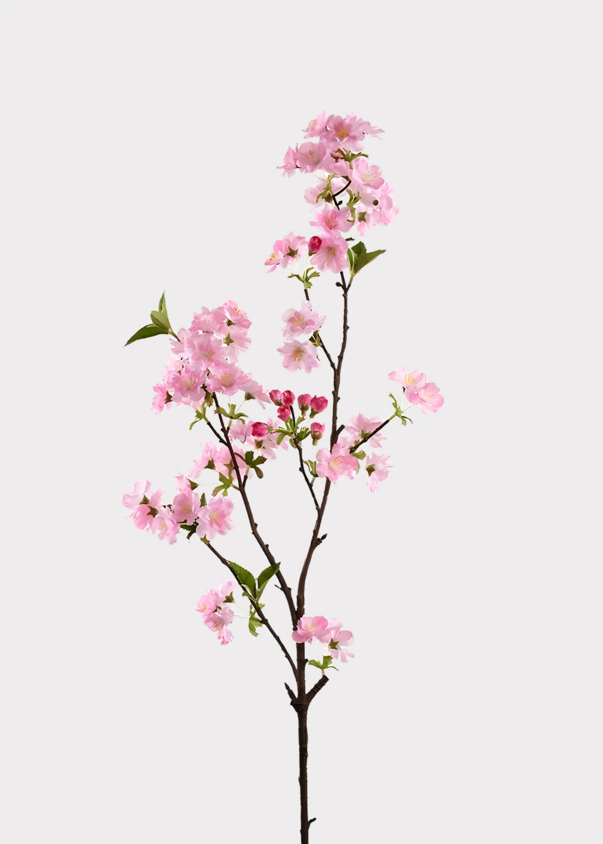 Pink Cherry Blossom Stem | Artificial Spring Flower Branches | Afloral | Afloral