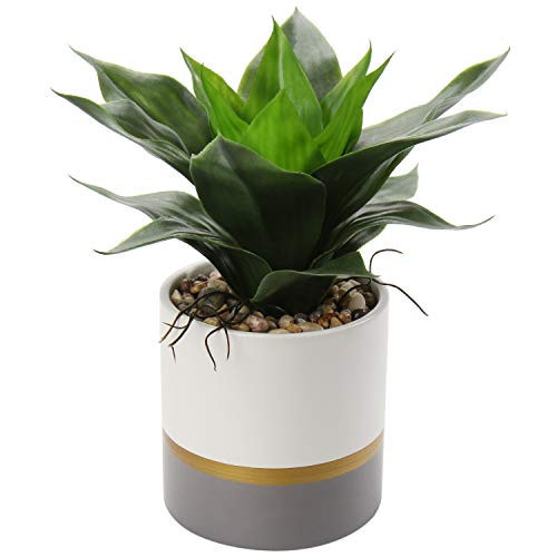 Briful Succulents Artificial Plants Fake Agave Aloe Plants in Gold and Dark Grey Ceramic Pot 9.4" Tall Small Faux House Plant Indoor for Home Office Table Livingroom Bookshelf Decorations | Amazon (US)