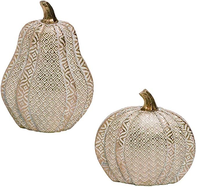 Holiday Designs Gold and Ivory Fall Pumpkin Figure Duo - Set of 2 - Thanksgiving Decoration or Ta... | Amazon (US)
