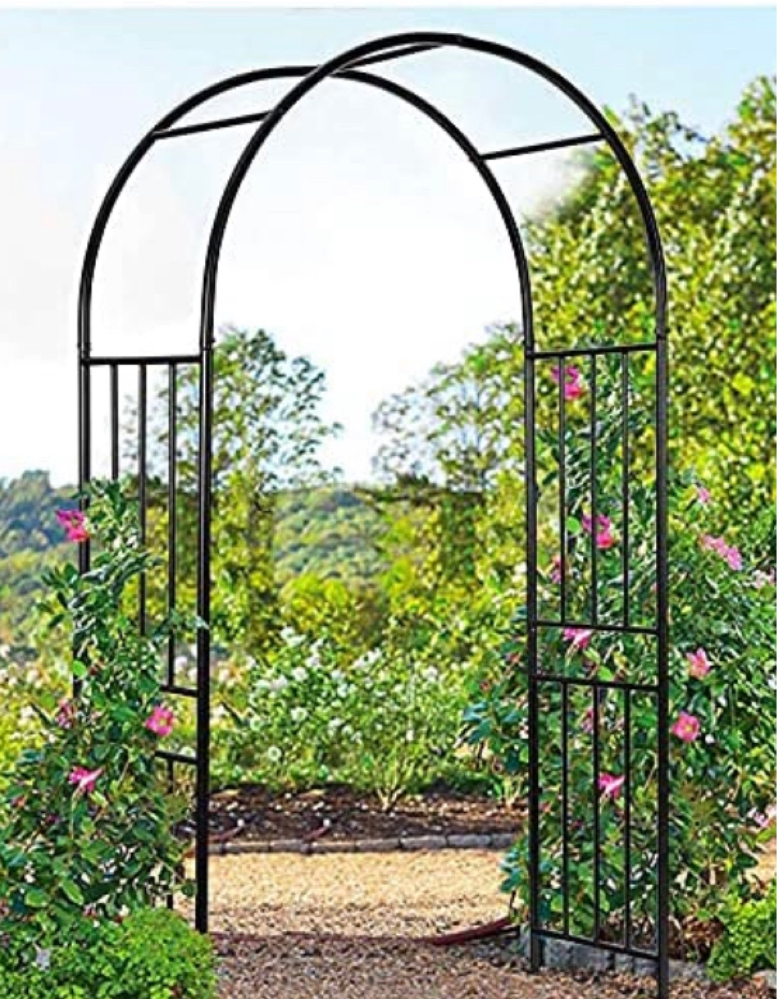 Black arches perfect for squash growing or rose arch ways. Stack two one behind the other for a living tunnel effect 🫶🏻

#LTKhome #LTKSeasonal #LTKGiftGuide
