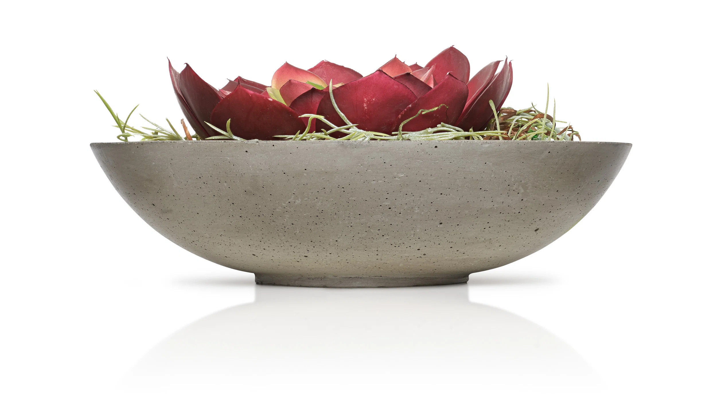 Ebern Designs Croxley Concrete Decorative Bowl 1 & Reviews | Wayfair | Wayfair North America
