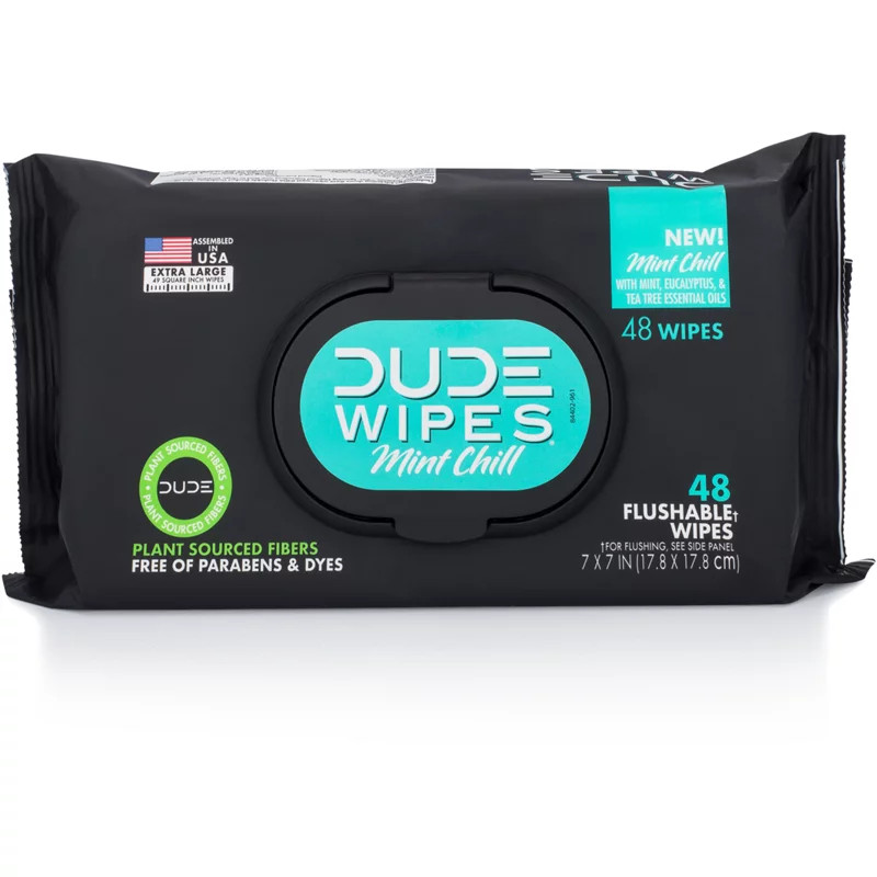 DUDE Wipes Mint Chill Flushable Wipes | Academy Sports + Outdoors