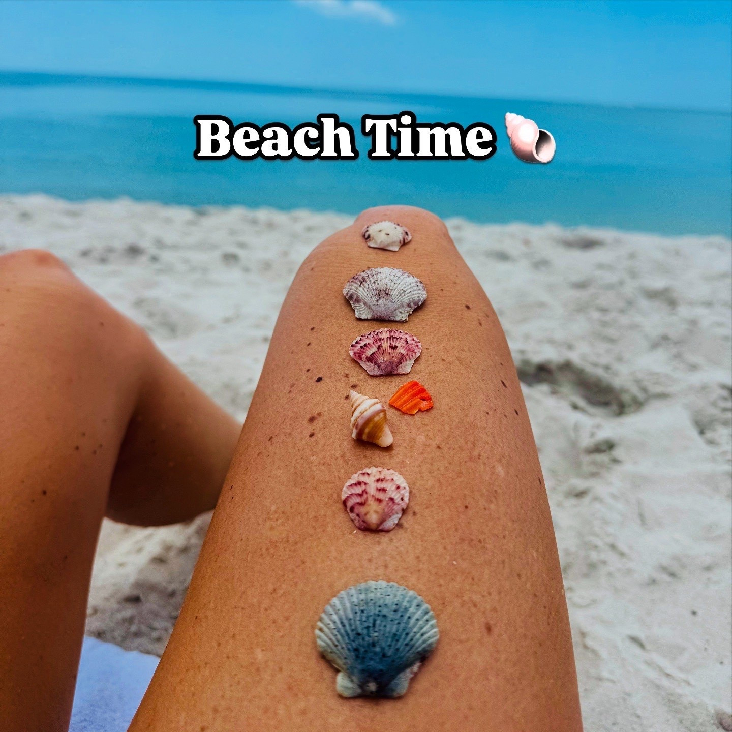 Vacation swimsuits 

#LTKFindsUnder50 #LTKTravel #LTKFindsUnder100