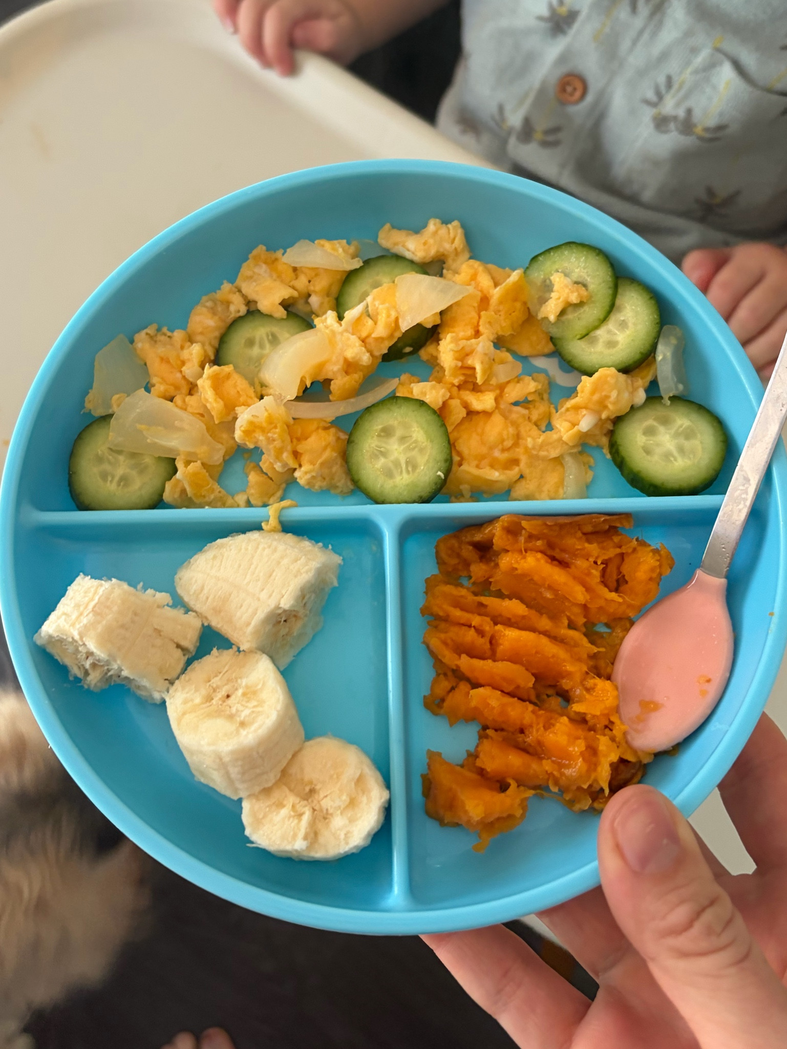 I love these baby plates. They even suction. 

#LTKfoodie #LTKmorningroutine #LTKmomlife