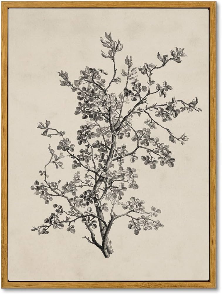 MOXELART Framed Botanical Wall Art Home Decor, Sketch Plant Vintage Wall Art Prints Decor, Canvas... | Amazon (US)