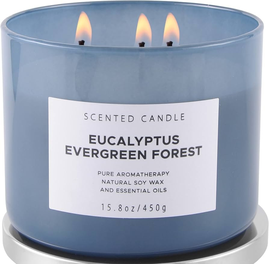 Eucalyptus Evergreen Forest Luxury 3 Wick Winter Pine Candle | Christmas Scented Candles for Home... | Amazon (US)