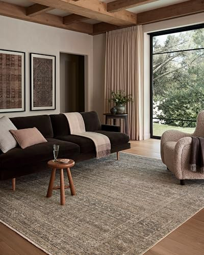 Loloi Amber Lewis Molly Navy/Blush 9'-6" x 13'-6" Area Rug | Amazon (US)