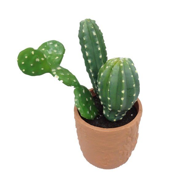 Mainstays Mixed Cactus Plant | Walmart (US)