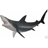 Blacktip Shark - 47 Inches Half Mount | Etsy (US)