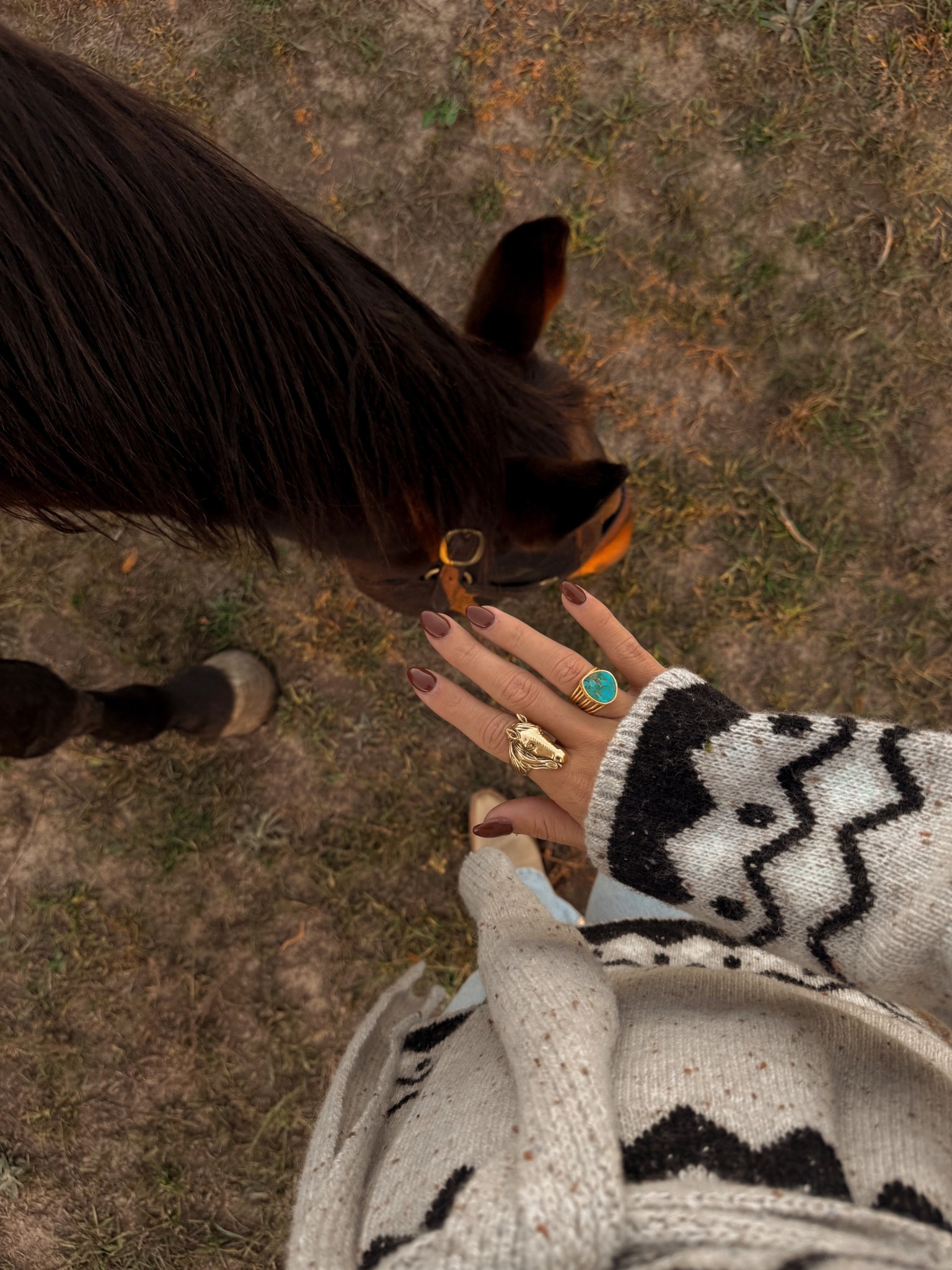 horsey jewelry :)

#LTKSeasonal #LTKStyleTip #LTKFindsUnder50