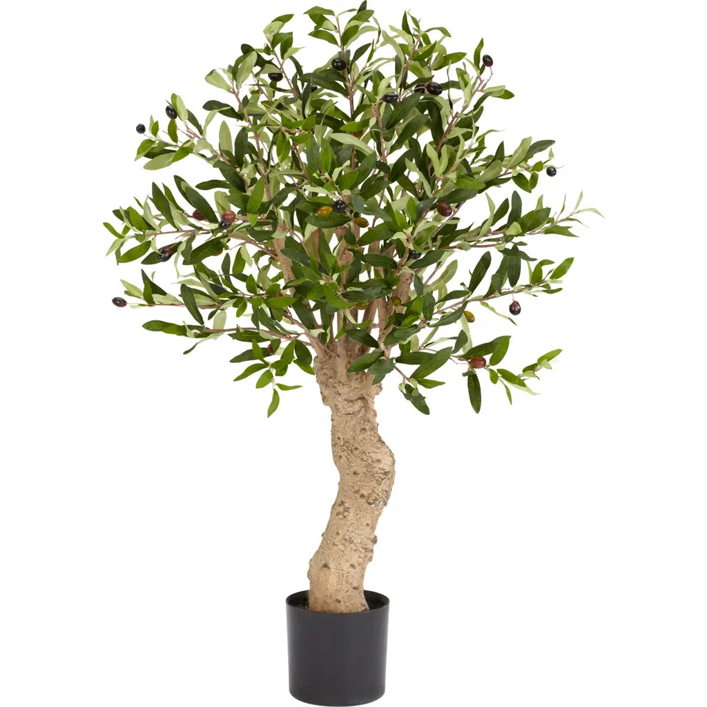 NEARLY NATURAL 2.5-ft Olive Artificial Tree in Green at Nordstrom | Nordstrom