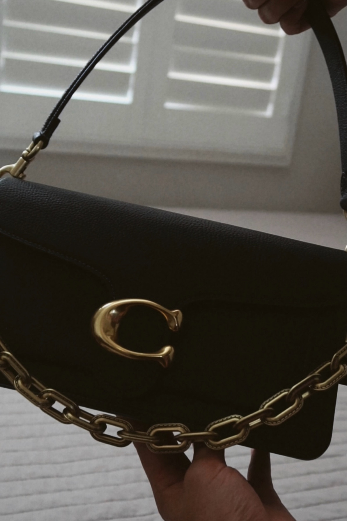 coach bag🤎

#LTKItBag #LTKStyleTip