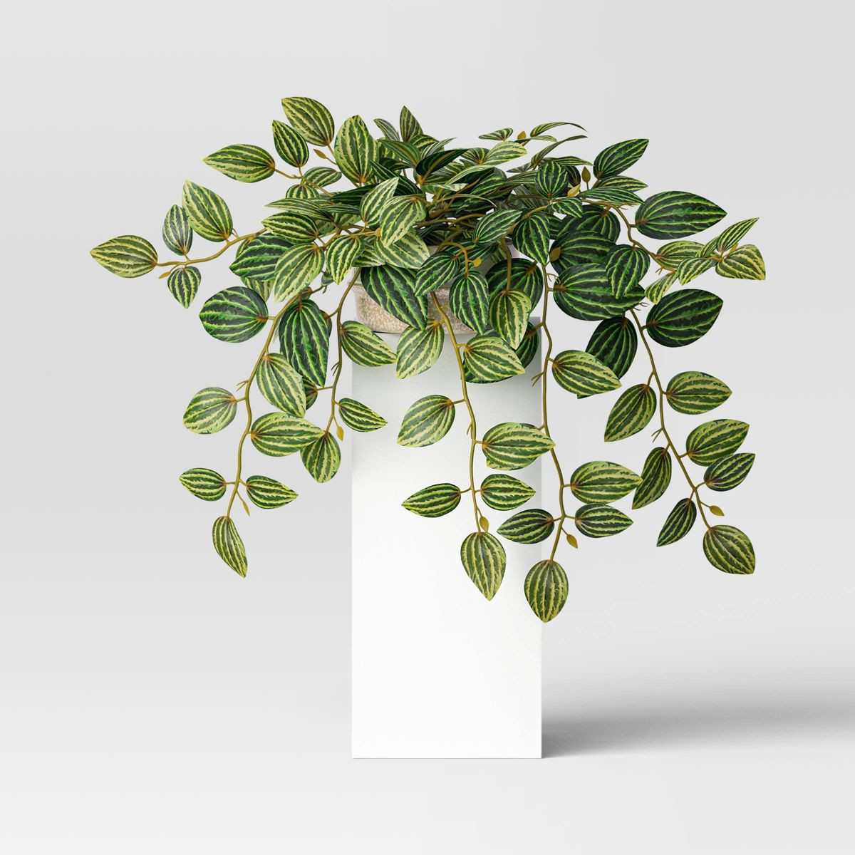 Artificial Trailing Zebra Plant Dark Green - Threshold™ | Target