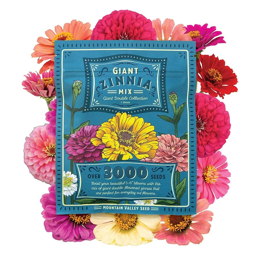 Zinnia Seeds for Planting Outdoors - ~3,000 California Giant Mix Zinnia Seeds - Beautiful 4' Tall... | Amazon (US)