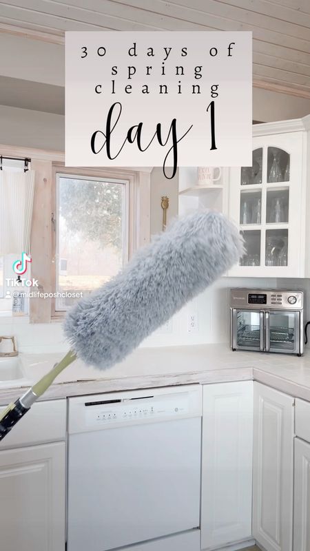 30 Days of Spring Cleaning - Day ONE: dust and clean light fixtures  

#LTKSeasonal #LTKfindsunder50 #LTKhome