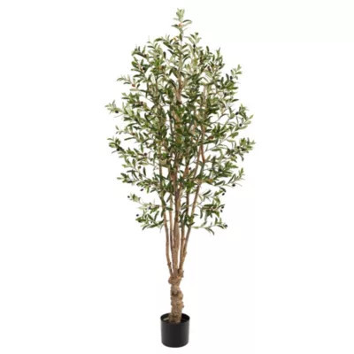 Nearly Natural 5-Foot Olive Artificial Tree with 1656 Leaves | Belk