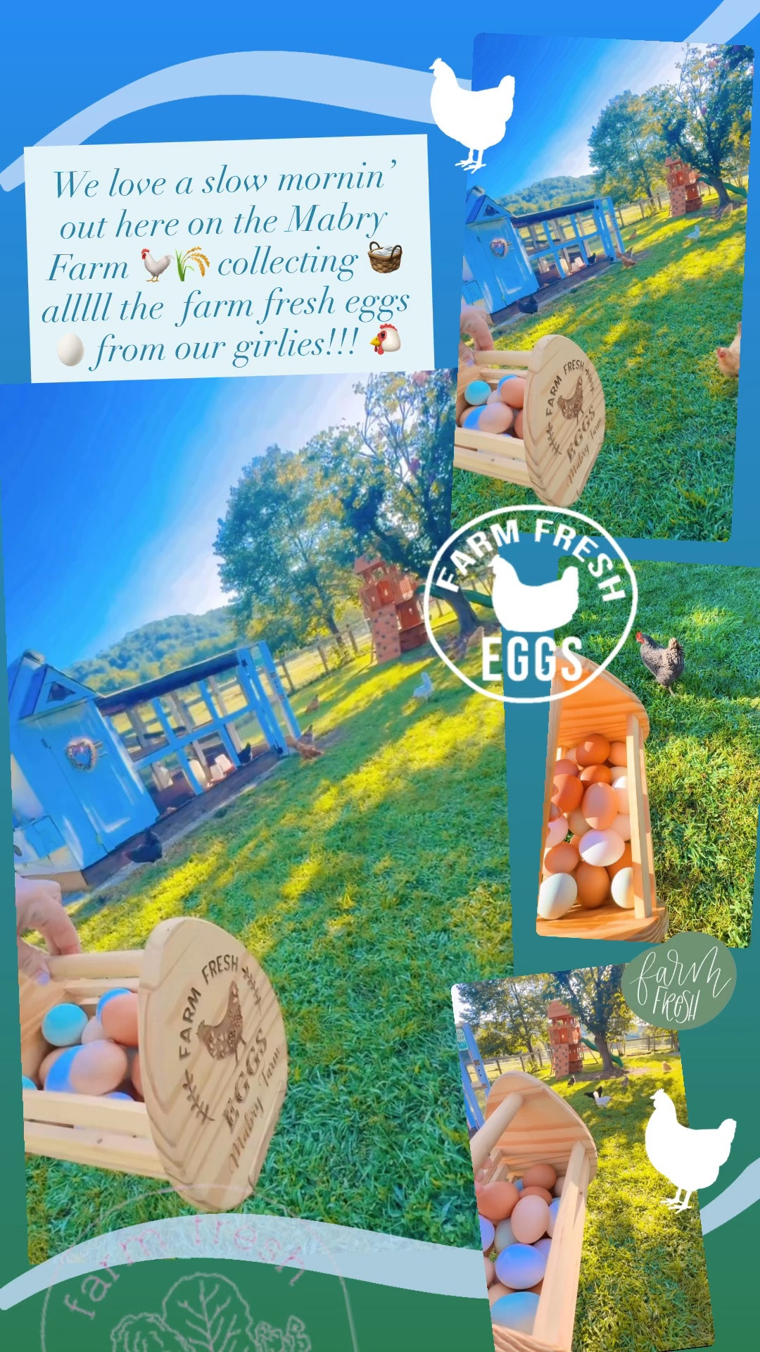 We love a slow mornin’ out here on the Mabry Farm 🐓🌾 collecting 🧺 alllll the  farm fresh eggs 🥚 from our girlies!!! 🐔