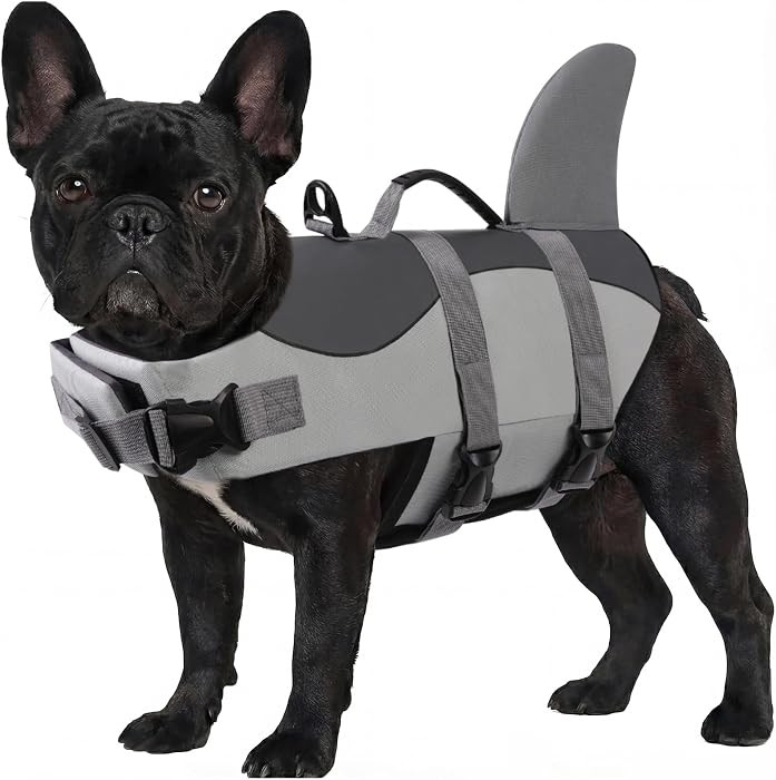 ASENKU Dog Life Jacket - Pet Safety Vest for Swimming & Boating, Shark Life Jacket with Floatatio... | Amazon (US)
