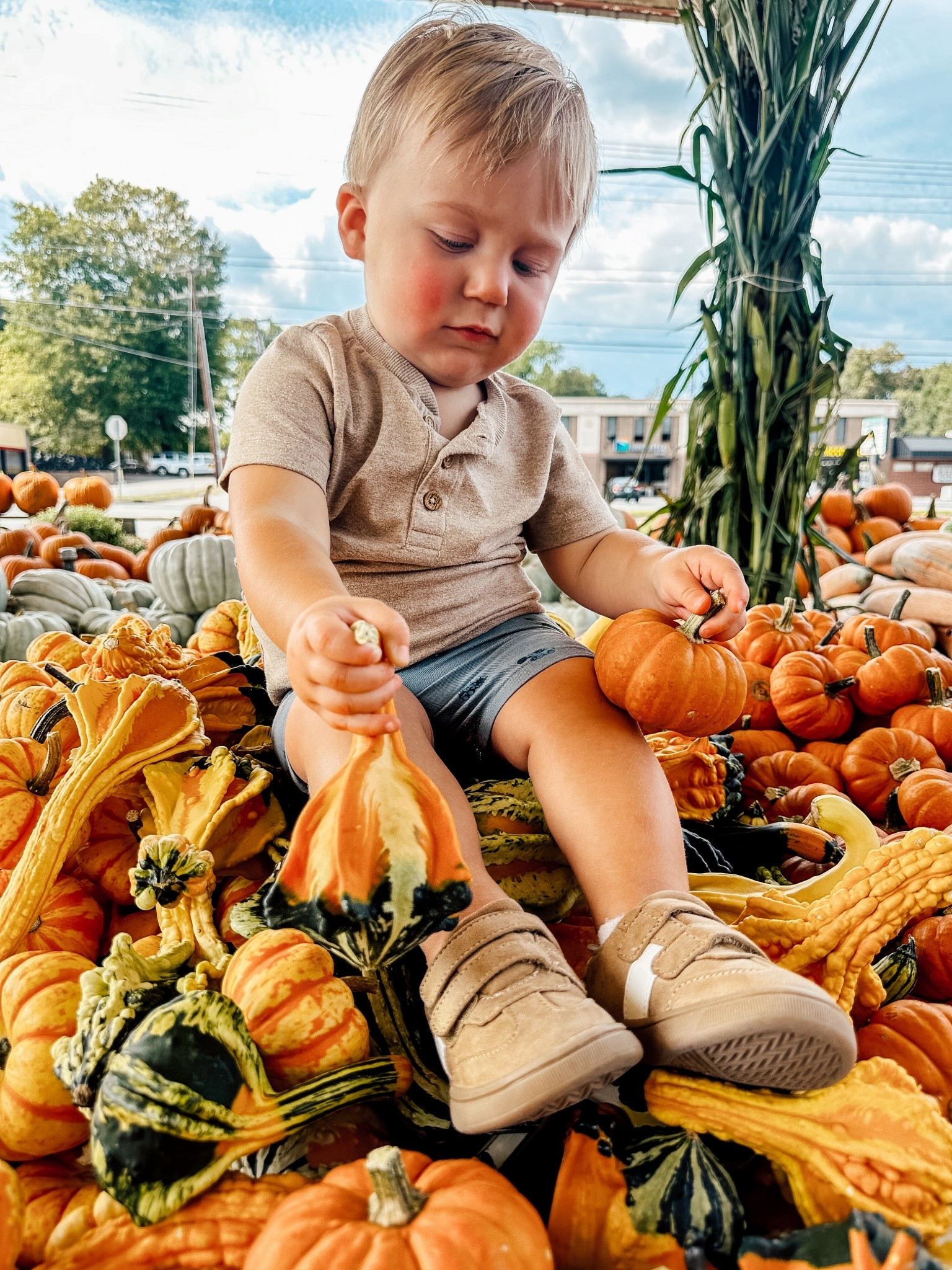 Early fall toddler boy fits 

#LTKBaby #LTKFallSale #LTKSeasonal